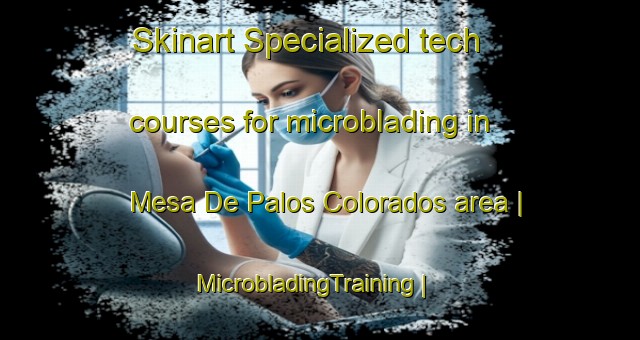 Skinart Specialized tech courses for microblading in Mesa De Palos Colorados area | MicrobladingTraining | MicrobladingClasses | SkinartTraining-Mexico
